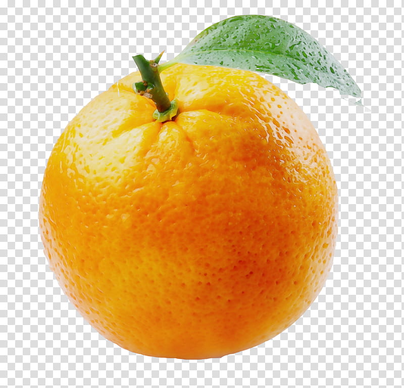 Cartoon Lemon, Arancia Rossa Di Sicilia, Tangelo, Fruit, Orange, Citrus Fruit, Sunkist Growers Incorporated, Grapefruit transparent background PNG clipart