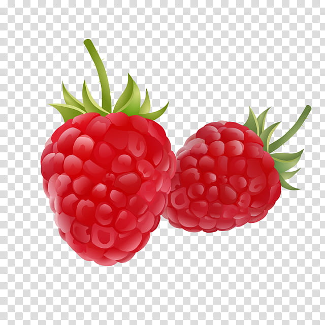 Pineapple, Raspberry, Fruit, Berries, Red Raspberry, Drawing, Loganberry, Food transparent background PNG clipart