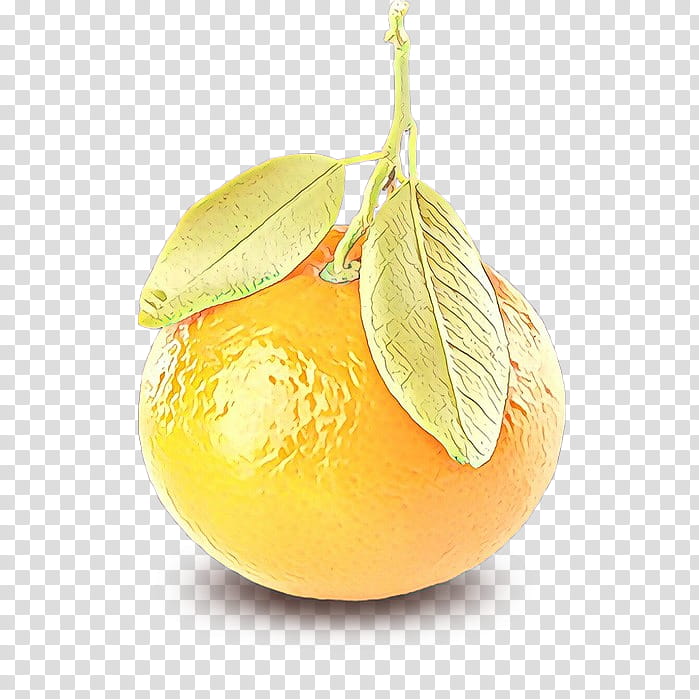 Lemon, Clementine, Mandarin Orange, Tangelo, Tangerine, Grapefruit, Citron, Bitter Orange transparent background PNG clipart