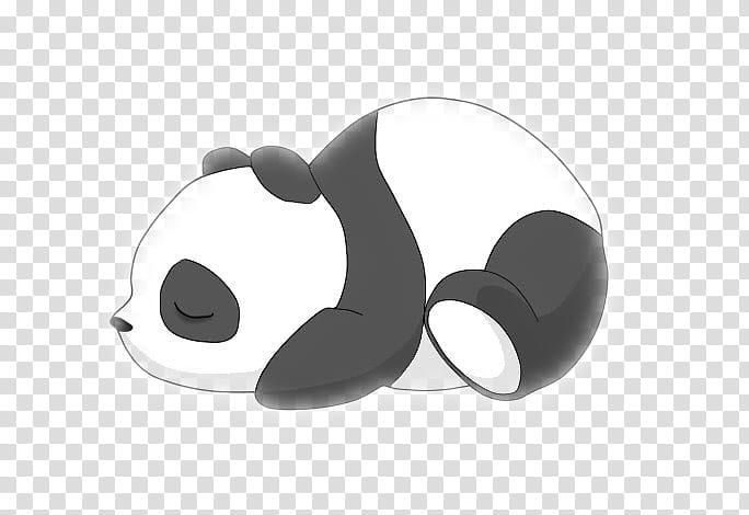 Bear, Giant Panda, Cuteness, Drawing, Red Panda, Kawaii, Decal, Child transparent background PNG clipart