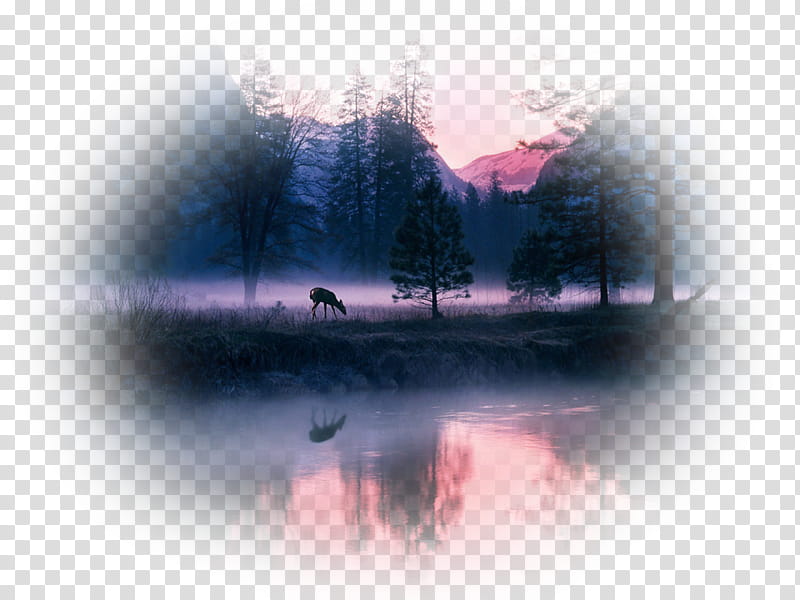 Cartoon Nature, Deer, Landscape Painting, Sunset, Forest, Cloud, Sky, Mist transparent background PNG clipart