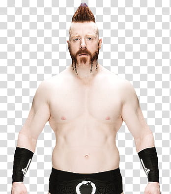 Sheamus Renders  transparent background PNG clipart