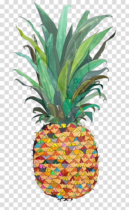 Pineapple, yellow and green pineapple transparent background PNG clipart