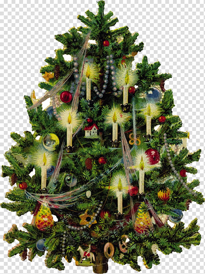 Christmas Resource , green Christmas tree transparent background PNG clipart