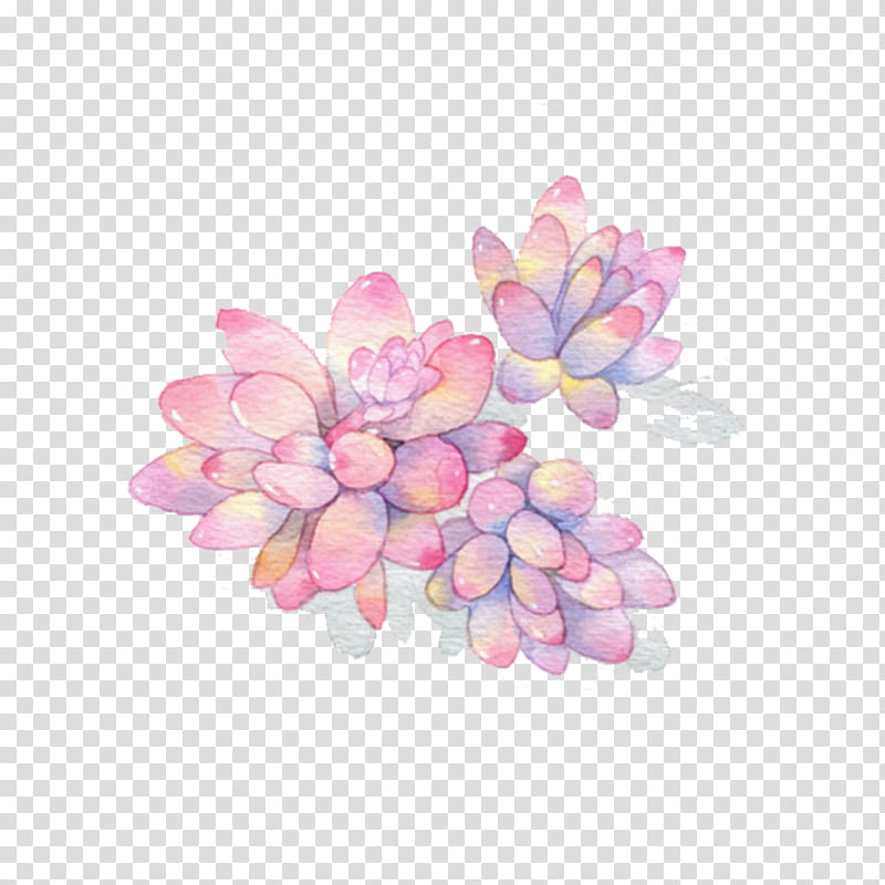 Oil Painting Flower, Watercolor Painting, Watercolor Flowers, Watercolour Flowers, Succulent Plant, Colored Pencil, Cartoon, Pink transparent background PNG clipart