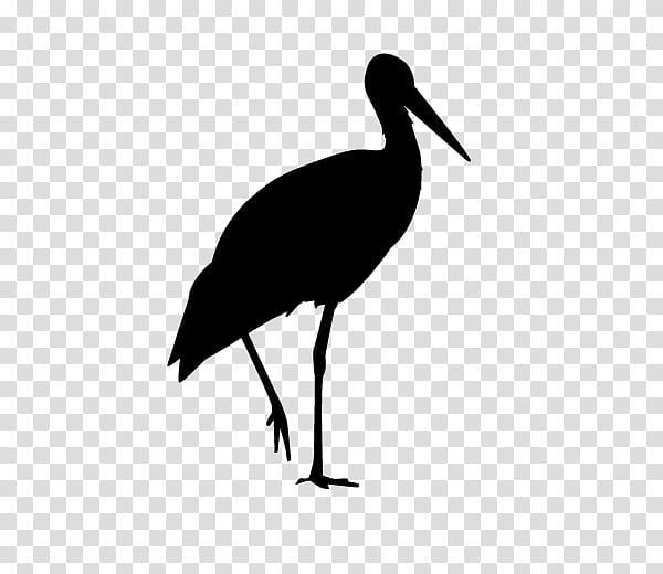 Crane Bird, White Stork, Beak, Neck, Water Bird, Wader, Silhouette, Cranelike Bird transparent background PNG clipart