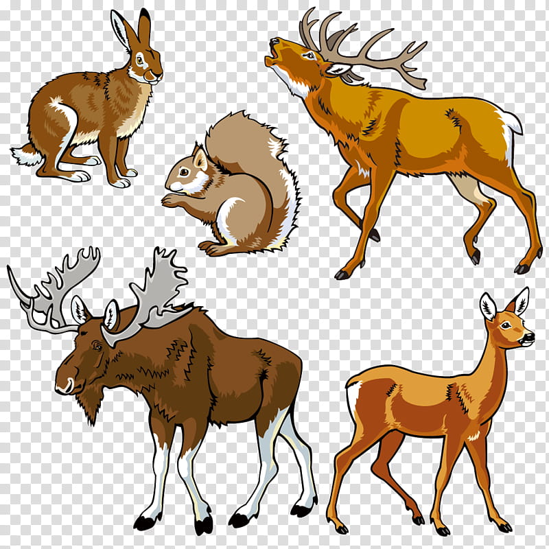 Animal, Drawing, Wildlife, Deer, Elk, Antler, Reindeer, Antelope transparent background PNG clipart