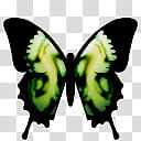 Butterfly Cam, ButterflyCam_Green_G_A icon transparent background PNG clipart