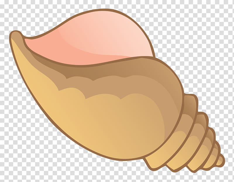 Ice Cream, Seashell, Conch, Drawing, Cartoon, Queen Conch, Nose, Lip transparent background PNG clipart