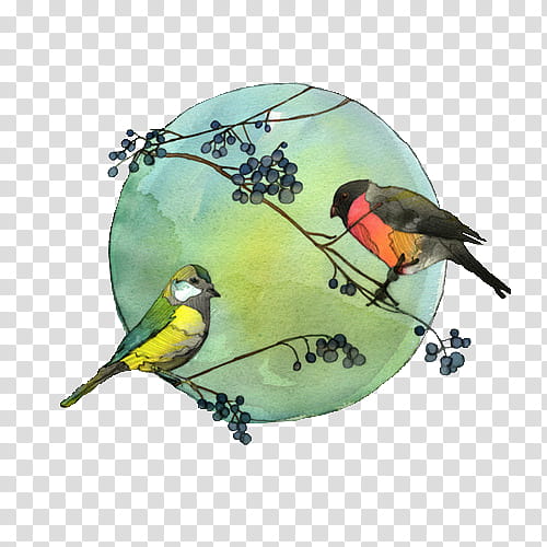 Watercolor Bird s, two birds perching on branch painting transparent background PNG clipart