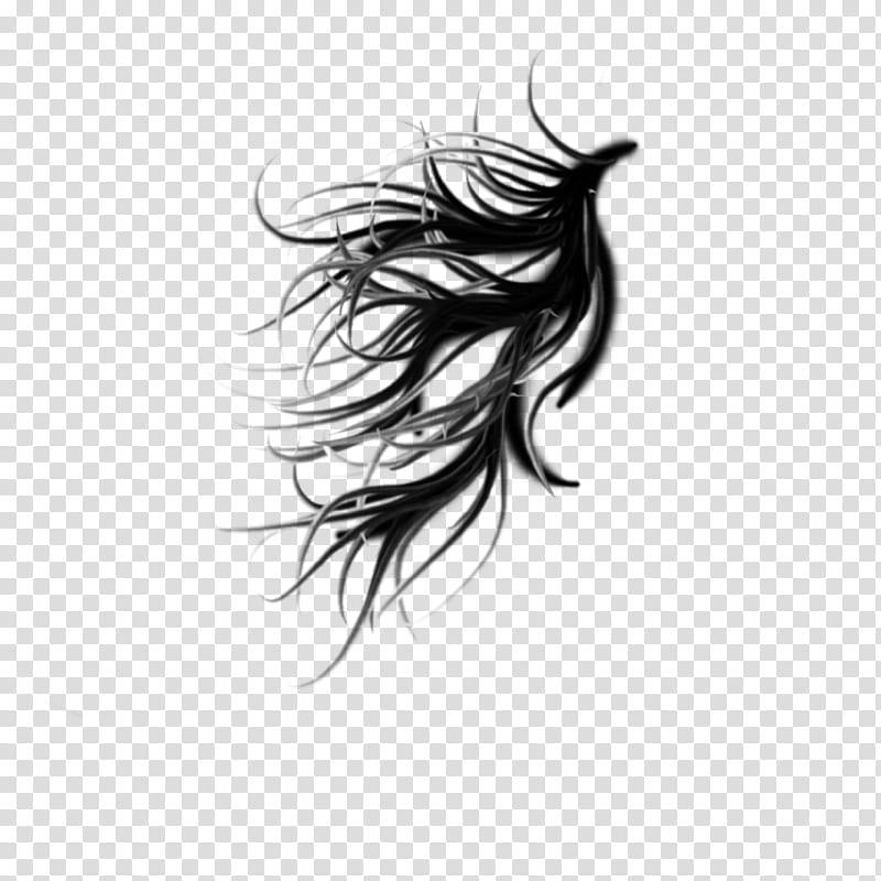windy rainy hair, black hair illustration transparent background PNG clipart