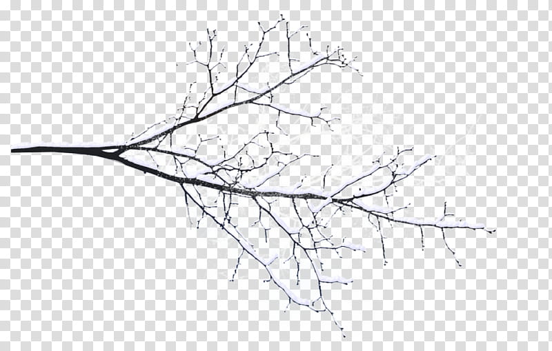 Winter Tree, Twig, Branch, Snow, Winter
, Leaf, Plants, Black And White transparent background PNG clipart