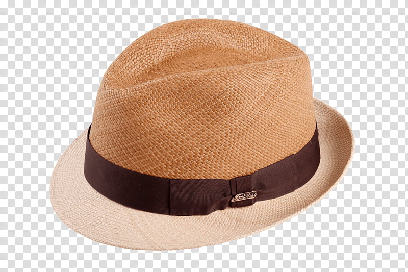 Hat, Fedora, Textile, Stetson Bozeman Crushable Wool Hat, Carludovica Palmata, Panama Hat, Barbiquejo, Color transparent background PNG clipart