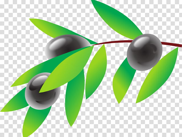 Green Leaf Logo, Olive, Olive Branch, Olive Wreath, Olive Oil, Olive Leaf, Document, Presentation transparent background PNG clipart