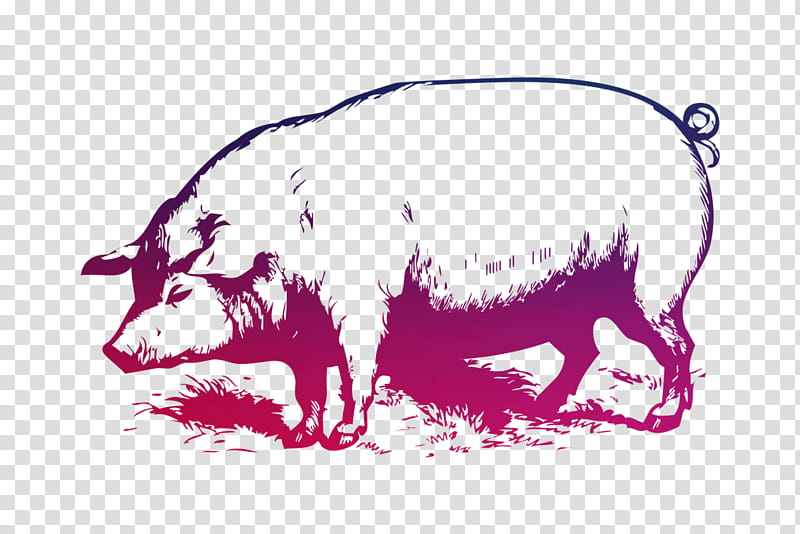 Pig, Large White Pig, Muddy Pig, Drawing, Yorkshireschweine, When Pigs Fly, Pork, Wild Boar transparent background PNG clipart