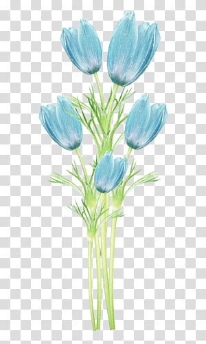 blue petaled flowers illustration transparent background PNG clipart thumbnail