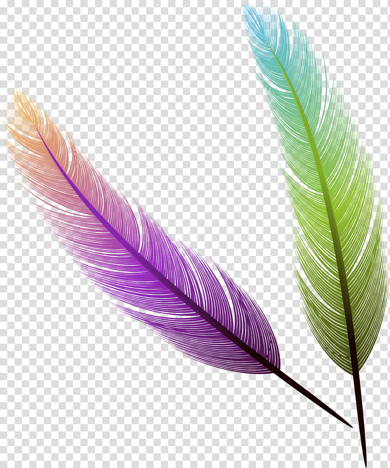 Green Leaf Watercolor, Feather, Quill, Pen, Peafowl, Watercolor Painting, Sticker, Wing transparent background PNG clipart