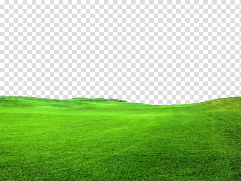 Green Grass FILE Use freely, green grass field illustration transparent background PNG clipart