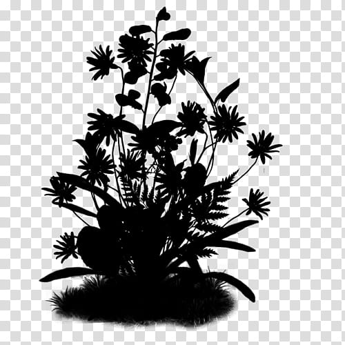Palm Tree Leaf, Shadow Play, Flower, Silhouette, Flower Bouquet, Cut Flowers, Plants, Pivoine Etc transparent background PNG clipart
