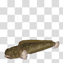 Spore creature Spotted Wolffish transparent background PNG clipart