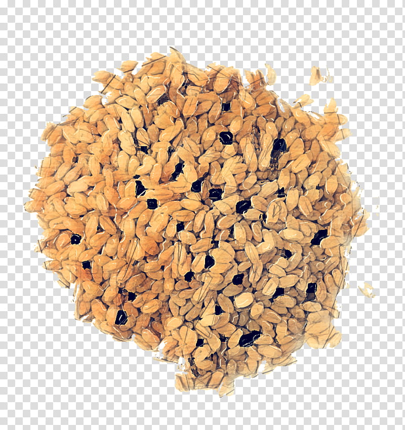 Forestry Wood Price Pellet fuel, Cereal Germ, Forest Management, Quantity, Production, Quality, Service, Economy transparent background PNG clipart
