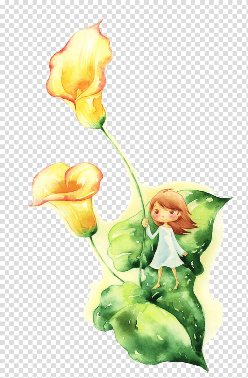 White Lily Flower, Cartoon, Drawing, Child, Animation, Advertising, Poster, Plant transparent background PNG clipart