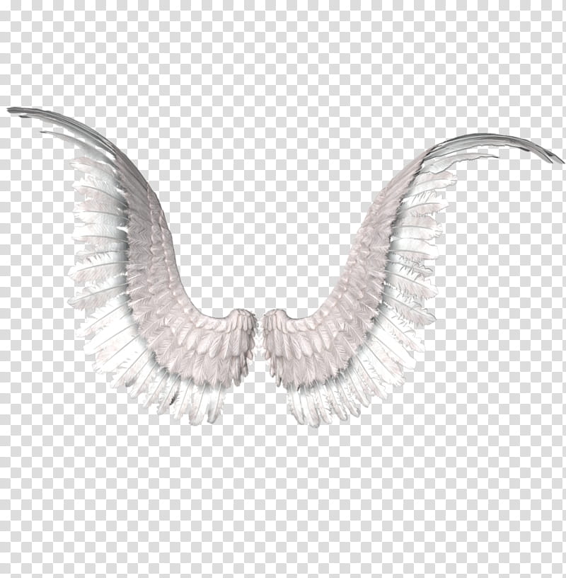 Recursos Alas De Angel , white and gray wings transparent background PNG clipart