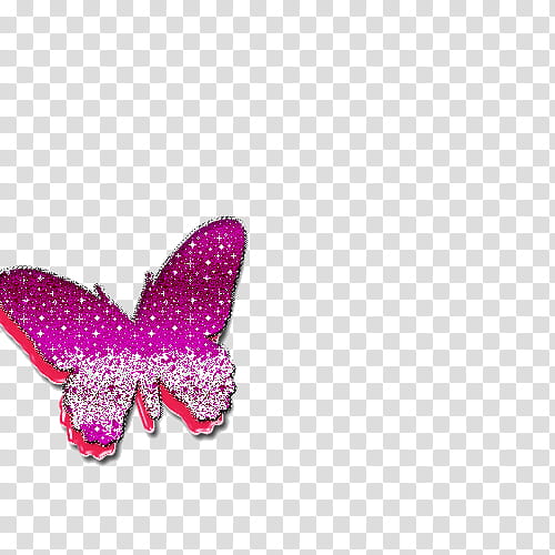 mariposa no es mia transparent background PNG clipart