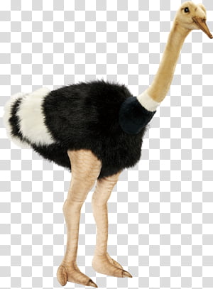 jellycat london ostrich