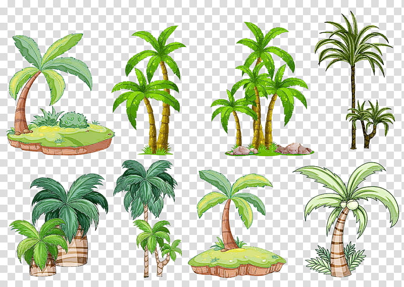 Palm tree, Houseplant, Terrestrial Plant, Arecales, Plant Stem, Flowerpot, Elaeis transparent background PNG clipart