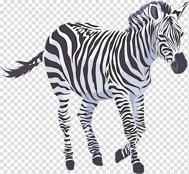 zebra animal figure wildlife snout black-and-white, Blackandwhite, Mane transparent background PNG clipart