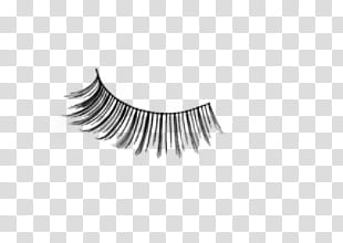 Eyelash , false eyelashes transparent background PNG clipart