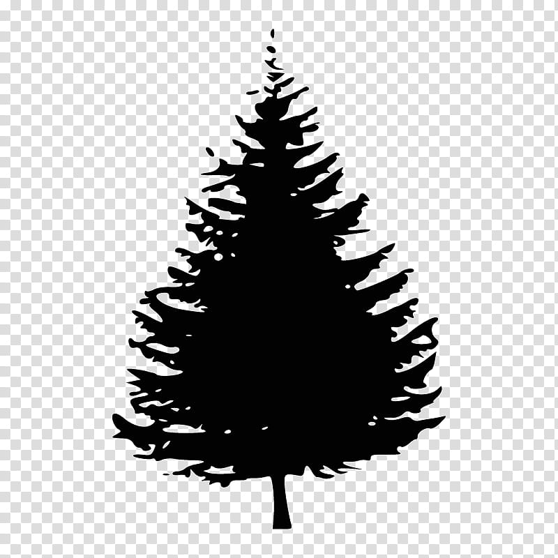 Christmas Black And White, Black Pine Tree, Silhouette, Eastern White Pine, Colorado Spruce, Shortleaf Black Spruce, Yellow Fir, Oregon Pine transparent background PNG clipart