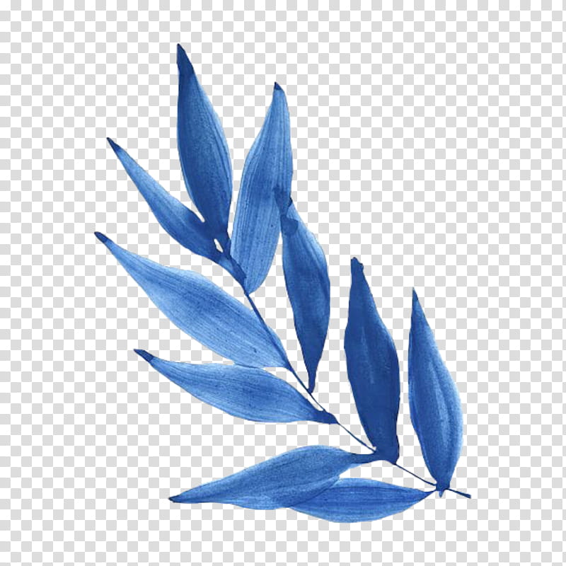 leaf blue plant flower perennial plant transparent background PNG clipart