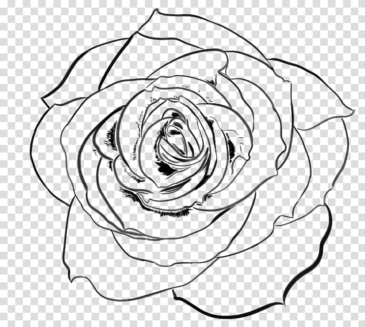 Nothing but a Rose Free Lineart transparent background PNG clipart