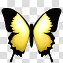 Butterfly Cam, ButterflyCam_Yellow icon transparent background PNG clipart