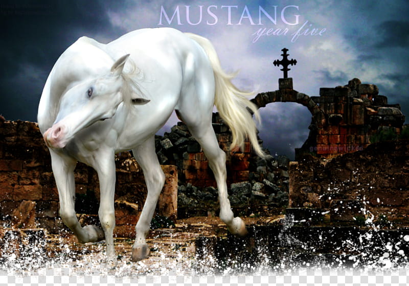 MUSTANG Year  Banner transparent background PNG clipart