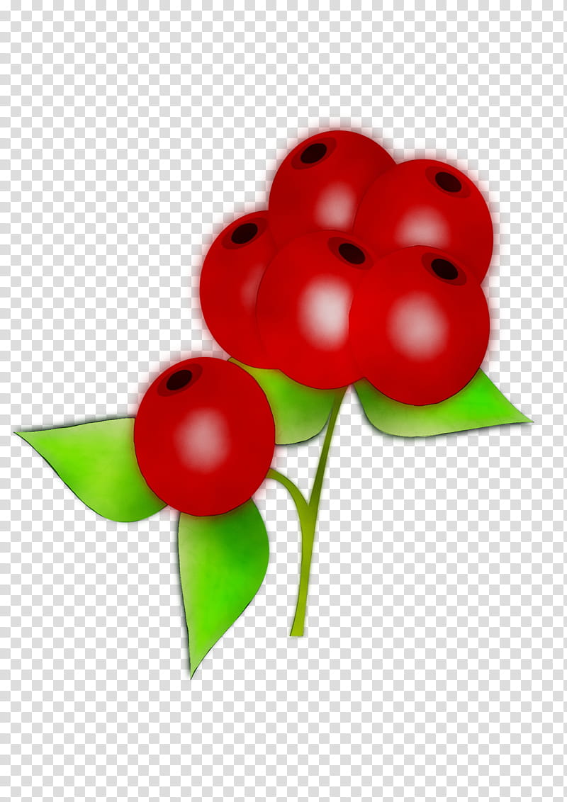 Red Balloon, Fruit, Flower, Plant, Leaf, Cherry, Berry, Petal transparent background PNG clipart