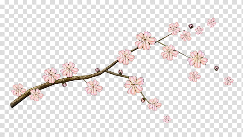 Cherry Blossom Tree, Branch, Almond Blossoms, Cherries, Twig, Pixers, Bonsai, Fruit Tree transparent background PNG clipart