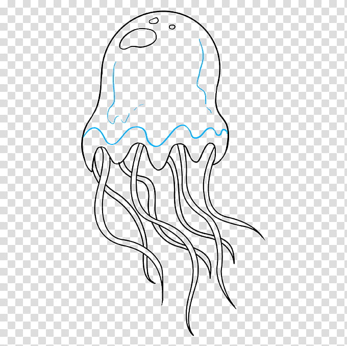 Drawing Jellyfish, Line Art, Tutorial, Howto, Cartoon, Animal, White, Cnidaria transparent background PNG clipart
