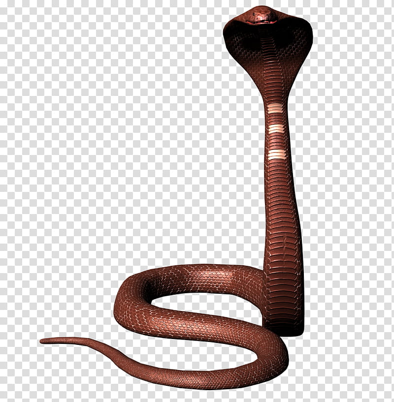 Snake , brown cobra illustration transparent background PNG clipart