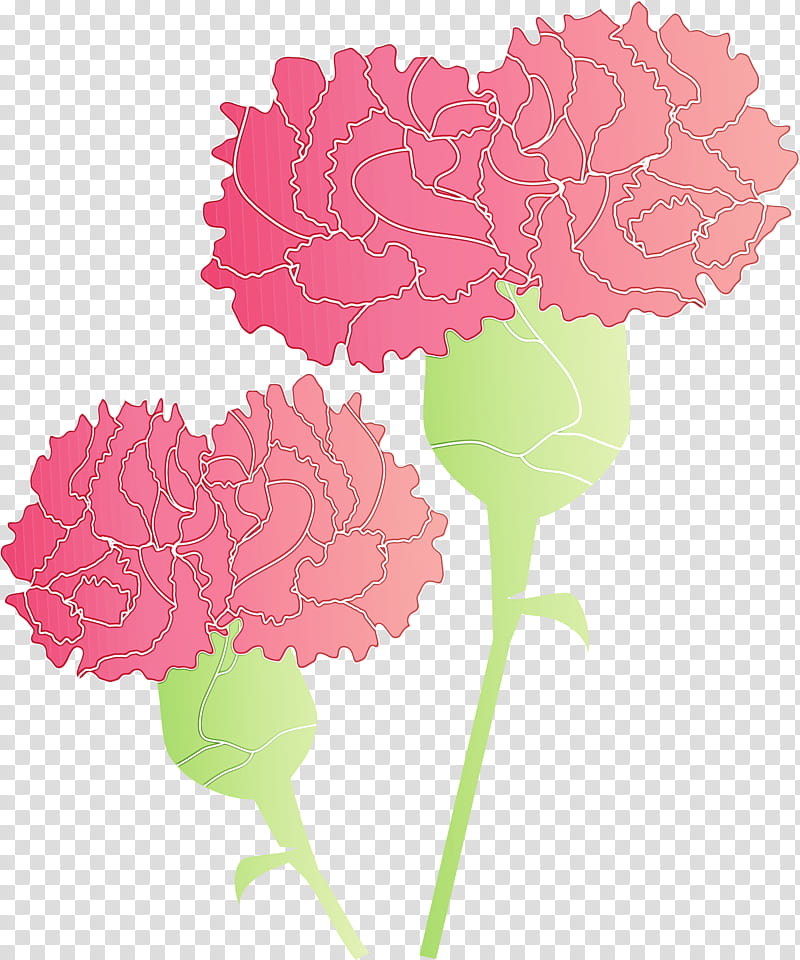 pink flower carnation plant leaf, Mothers Day Carnation, Mothers Day Flower, Watercolor, Paint, Wet Ink, Cut Flowers, Dianthus transparent background PNG clipart
