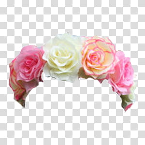 Flower Crowns, white and pink roses illustration transparent background PNG clipart