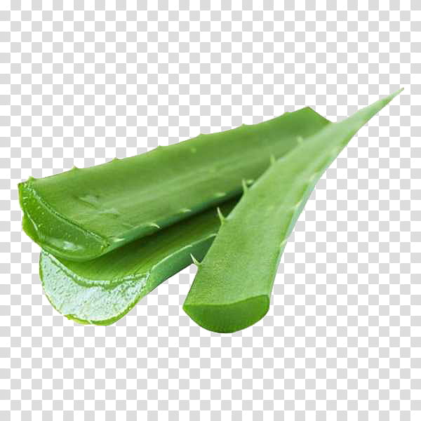 green leaf snow peas plant aloe, Food, Legume, Vegetable, Xanthorrhoeaceae, Green Bean transparent background PNG clipart