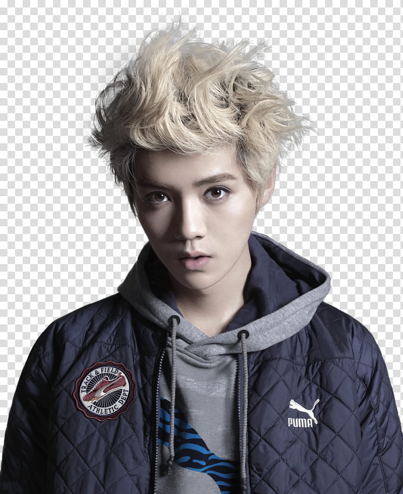 Luhan , man wearing blue and gray Puma pullover hoodie transparent background PNG clipart