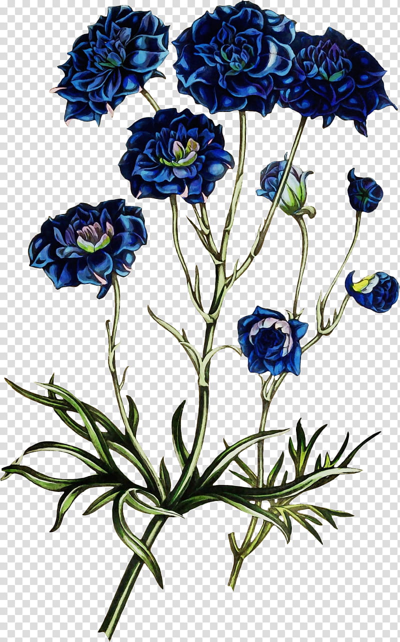 flower plant cut flowers wildflower petal, Watercolor, Paint, Wet Ink, Delphinium, Monkshood transparent background PNG clipart