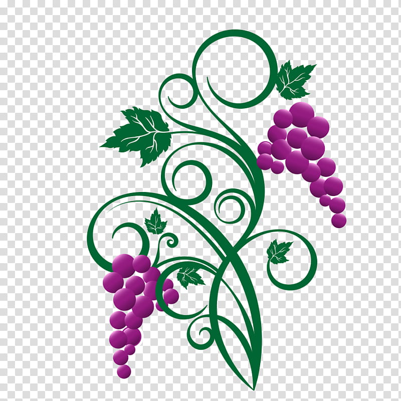 Drawing Of Family, Wine, White Wine, Grape, Grape Leaves, Riesling, Common Grape Vine, Grapevines transparent background PNG clipart