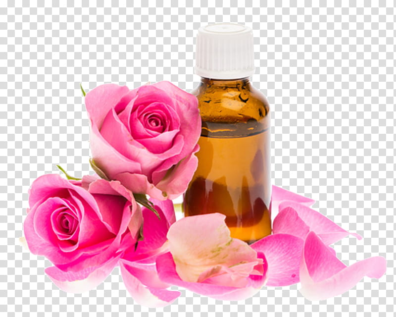 Tea Tree Oil, Rose Oil, Essential Oil, Perfume, Damask Rose, Absolute, Cannabis Flower Essential Oil, Aromatherapy transparent background PNG clipart