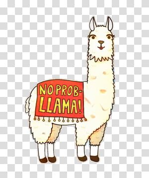 Llama, Alpaca, Camelid, Cartoon, Beak, Live, Terrestrial Animal, Snout  transparent background PNG clipart