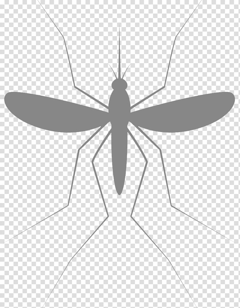 Woman, Mosquito, Leishmaniasis, Child, Health, Visceral Leishmaniasis, Disease, M 0d transparent background PNG clipart